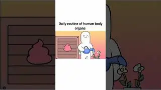 Daily routine of human body organs 🙋 #cartoon #memecartoon #funnyvideo #shaveing #trimming #tiktok