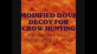 MOJO DOVE DECOY MODIFIED TO BE A CROW