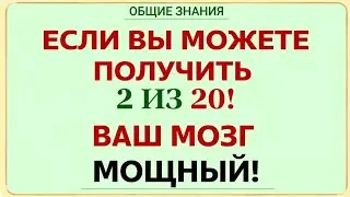 30 Вопросов на Общие Знания 🌍 Кто Ответит на Все? 🔥