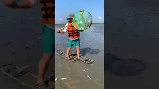 Ep. 350: Rainy Season Fishing - Catching Fish After Heavy | #WildRiverPOV #NatureShorts #AnimalWorld