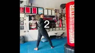 Roundhouse Kick and BIAKID step by step!