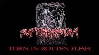 Suffersystem - Desecrated Bodyment (2021)