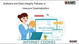 Top 10 Web Applications Vulnerabilities explained with examples | OWASP top 10|Top 10 Security Risks