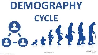 DEMOGRAPHY CYCLE