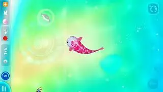 Zen Koi 2: Ascending Akagin Hanami pt. 2