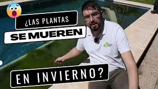 &iquest;SE MUEREN? las plantas de las biopiscinas