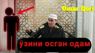 Umar qori - O'zini Osgan Odam