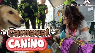Carnaval Canino 2025 |Reportaje |Las Palmas de Gran Canaria
