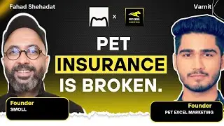 The Next Big Shift in Pet Wellness: What Pet Companies Should Prepare For