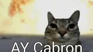 Shitpost/Memes Compilation V2