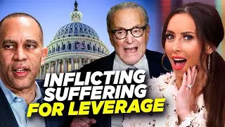 WATCH: Democrats Get ROASTED by... LIB MEDIA as Gov't Shutdown 