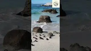 Cape Town is calling