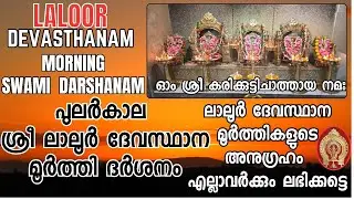 #പുലർകാല സ്വാമി ദർശനം #karikuttichathan #love #devotional #laloordevasthanam #chathan #astrology 