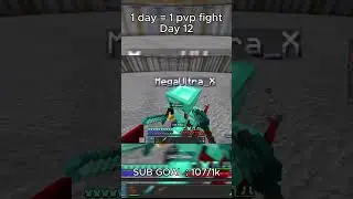 day 12 #minecraft#pvp