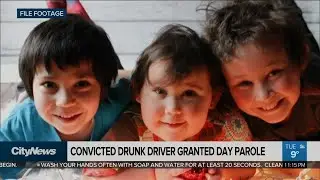 Convicted drunk driver granted day parole