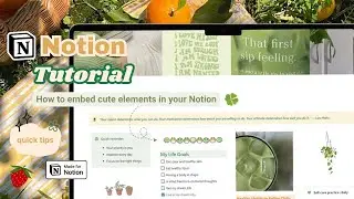 Notion Tutorial | How to embed cute elements in your Notion workspace | quick tips, aesthetic setup