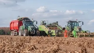 KARTOFFELERNTE 2018 | FENDT VARIO TRAKTOREN | KRAMPE BIG BODY | AVR | FORTUNA