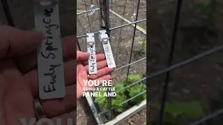 Nursery Tags for labeling Plants #garden #farm #homestead #gardening #tips #love #spellingcounts😂
