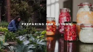 Preparing for autumn 🍁🍂 fermenting, preserving & decluttering