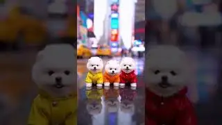 Puppies Take Over Times Square! 🐶🗽✨ Cutest crowd ever joins the fun #puppies #TimesSquare #cutepets