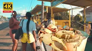 ✔️Heroes Circle Crab Vendors Have REOPENED! REAL Jamaica Street Food In Kingston 4k