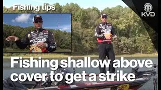 Catch More Bass with Shallow Crankbaits &ndash; Kevin VanDam&rsquo;s Proven Tips
