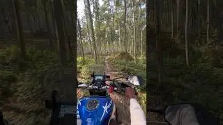 Hero Xpulse 210 jungle Off road test #jungle #shorts #trending ￼