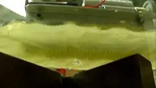 MIT RoboSnail (2003)