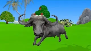 Fountain Cartoon: Funny Animal Crossing Challenge 🐮🦁 | PinglaTV