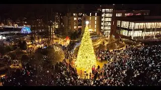 Cary Tree Lighting Ceremony 2024