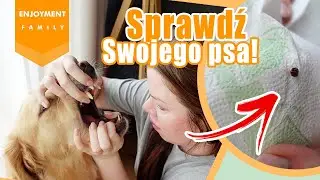 EVERY YEAR IT'S WORSE! Asian ladybug plague! What do lips look like immediately after the procedu...