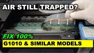 Cleaning Failed? Remove Air from Ink Pipe | Canon G1010 & Similar Models