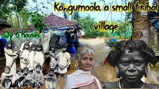 காடுகளில் மறைந்துள்ள கங்குமூலா பழங்குடி கிராமம், பனியார் இனக்குடிகளுடன் வெறும் 6 வீடு #trend #travel