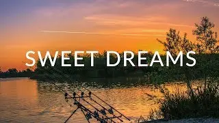 Sweet dreams