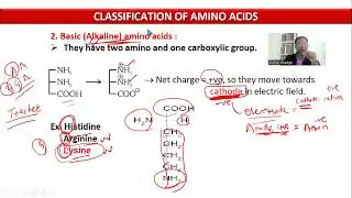 6. Protein 1