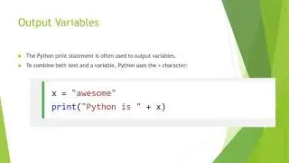 Python Variables Notes