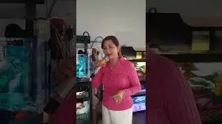 LAGI HÁT CA SĨ MỸ TRANG C,K CHỜ ĐÔNG