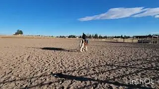Video Test #2 Johanna Carter and Ziggy