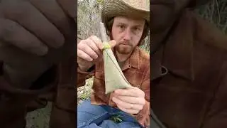 willow bark bottle #outdoors #camping #survival #wilderness #bushcraft #willow