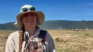 Counting critters: How surveys help conserve, manage Southern Utah's prairie dogs