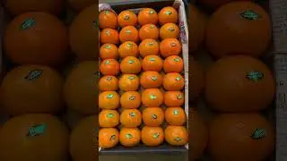 Orange Packing Process In India