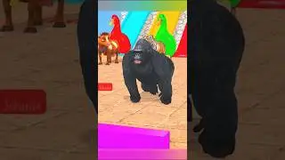#animalsgames #cartoon #animation #funnyanimals #animals