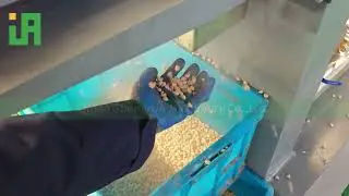 Kibble Perfection Masters: Professional Pet Food Machinery🐕🐈