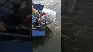 Работа лодочного мотора SUZUKI DT5Y