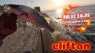 CLIFTON 2 STRIPERS LENTA LA PESCA   #stripedbassfishing #fishing #tarracegarden