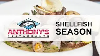 Fall at Anthony's means Shellfish Season