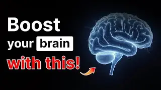 Top 10 Brain Foods for Seniors &mdash; Doctor-Approved and Overlooked