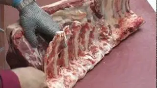 Beef Hindquarter Sirloin Primal Removal and Preparation