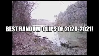 Favorite random clips from 2020-2021