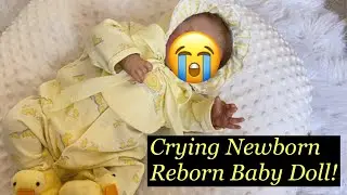 Unboxing Odessa By Laura Lee Eagles! My lifelike reborn doll was once lost but now is found 😊!